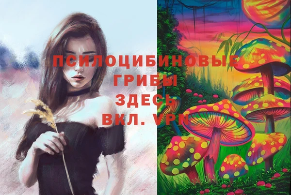 молекула духа Верхнеуральск